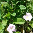 시낭운동장 이미지