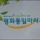 2013 평화통일 마라톤(1) 이미지