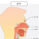 침삼킬때 목아픔 다양한 원인과 완화방법 알아보자 이미지