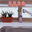 제주안안민박 이미지