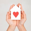 안양-안양-안양-515 이미지