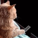 서쪽남자&동쪽여자 이미지