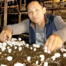 지연농장 이미지