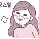 대창사 이미지