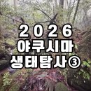 서부부분정비 | 2026 야쿠시마 생태탐사③ | 야쿠스기랜드 원시림, 서부임도 원숭이, 오오코노 폭포 그리고 바다거북