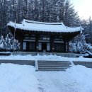 ＜푸른산악회＞ 1월15일(일) 태백산 눈꽃축제&눈꽃산행 이미지