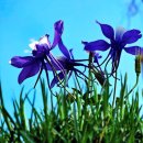 중탑 어린이공원 이미지