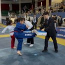 한국체대 비호태권도 이미지