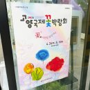 장미할인마트 | 일산 꽃시장 케이플라워 하나로마트 화훼단지 30%할인 장미 5천원대 득템 후기