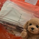 한국세탁 | 발리 여행 빨래는 이렇게! 실제 이용한 Laundry 세탁 후기 (누사페니다•우붓)