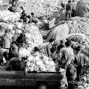 용산시장 이미지