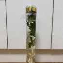 참조은생활마트 이미지