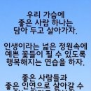 매듭달