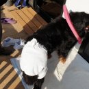 강구짱PC 이미지