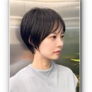 환상미용실 네이버블로그