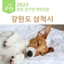 두타동물병원 이미지