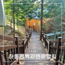 숲속의 집 | 하동편백자연휴양림 숲속의집 302호 숙박 후기