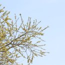 산뒤 마을 이미지