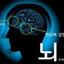 서울수면센터 이미지