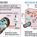 파킨슨의 진짜 원인과 해결법 &amp; 약의 기전과 부작용 3 이미지