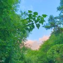 율림동산 이미지