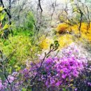 독립문역4번출구 이미지