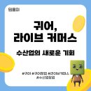 영암상회 | 귀어 &amp; 라이브 커머스 – 수산업의 새로운 기회