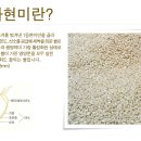 조이스넥