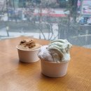 포코아포코카페 | 동탄남광장 :: 카공족에게 딱인✨️ 동탄넓은내부카페 동탄젤라또맛집동탄남광장대형카페 싱글포코 후기