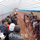 곡성-168 이미지