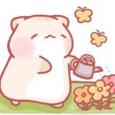 라즈베리스튜디오 이미지
