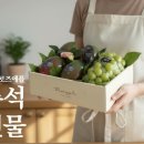 로즈애플 - 7379 | 로즈애플
