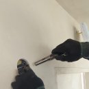 서삼중로 이미지