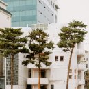백학시장 | 신당의 동네에서 힙당동까지, 신당동 기묘한 도보 투어
