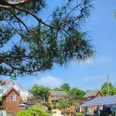 나무향가득펜션 이미지