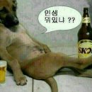 보까