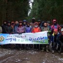 송태심 Daum카페