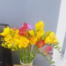 이편한세상나래 공인중개사사무소 이미지