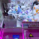 플레이킹 원마운트점 이미지