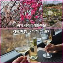 춘향이7080 | 당일치기 기차여행 국악와인열차 광양 매화마을 남원 광한루원 with 행복을주는사람들