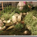 배내허브랜드 이미지