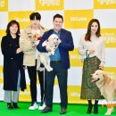 댕댕CLUB 이미지