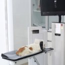 동행동물의료센터 이미지