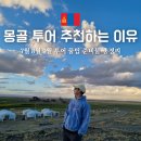 나나펠트 | 몽골여행 7월 8월 9월 준비물 꿀팁, 투어 추천하는 5가지 이유 총정리