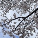 하남체육공원 이미지