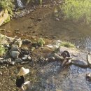 봉화로1 이미지