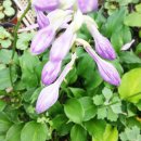 두륜산농장 이미지