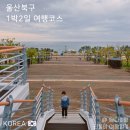 박상진8로L | 아이랑 울산여행 1박2일 코스 북구 대형놀이터부터 가성비 오션뷰 숙소까지 완벽 정리
