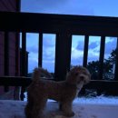 애월파크힐빌리지 이미지