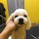 온블리살롱 네이버블로그